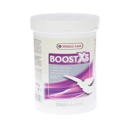 Boost X5 Poudre 500 gr