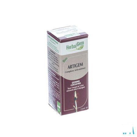 Herbalgem Artigem Complex 15 ml  -  Herbalgem