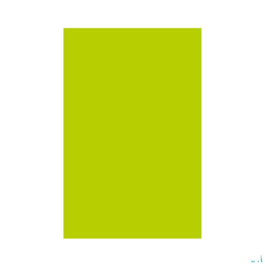 Cerederm Pleister 10x20cm 10 4309674  -  Euromi