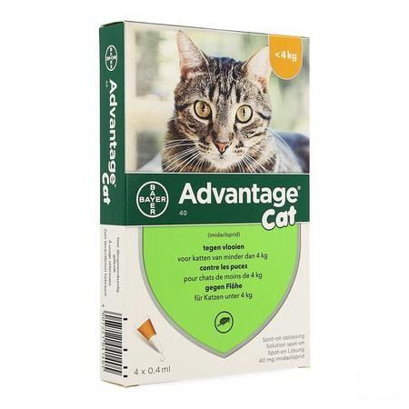Advantage 40 Chats 