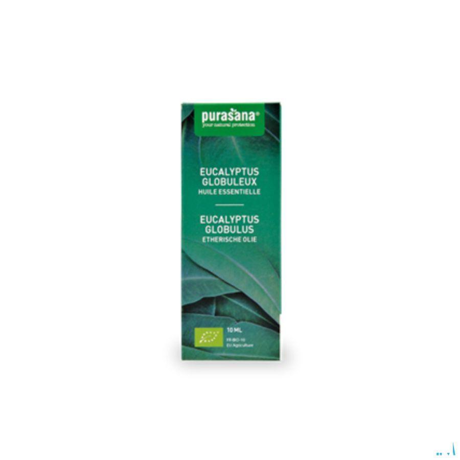 Eucalyptus Globulus 10 ml