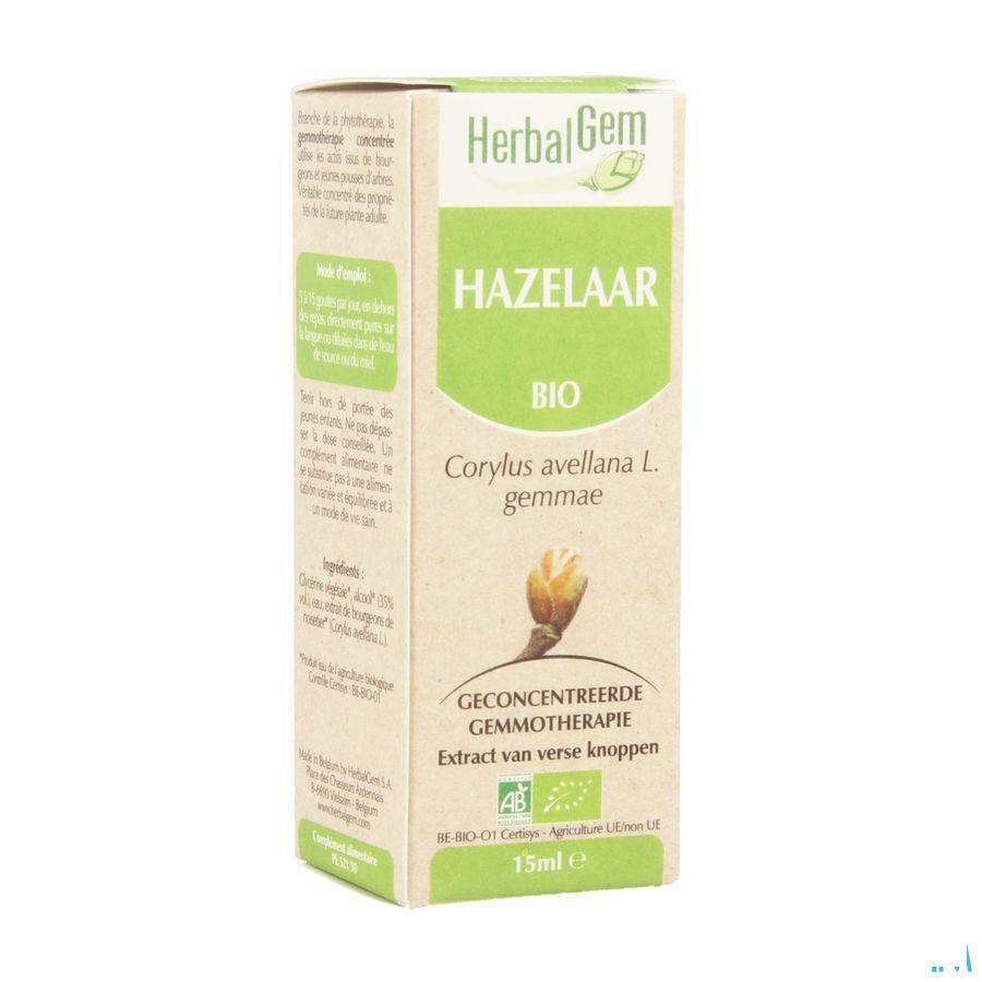 Herbalgem Hazelaar Maceraat 15 ml  -  Herbalgem