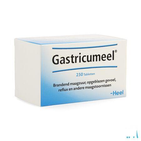 Gastricumeel Comprimes 250  -  Heel