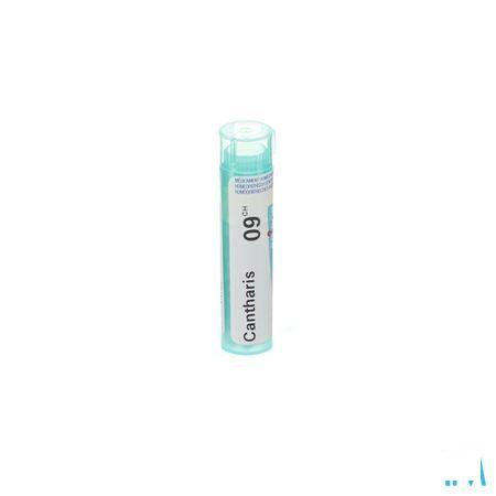 Cantharis 9CH Gr 4g  -  Boiron