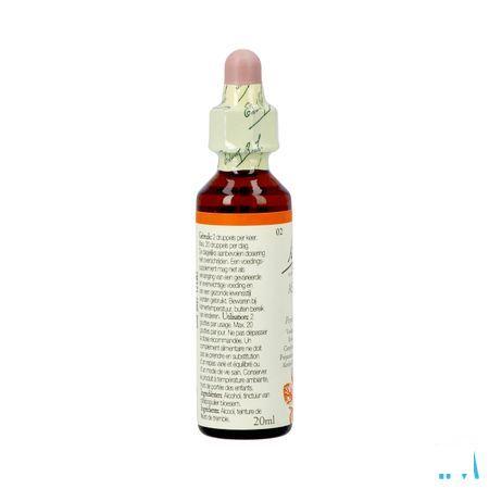 Bach Flower Remedie 02 Aspen 20 ml