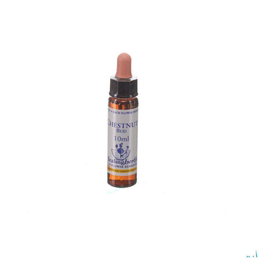 Healing Herbs Chestnut Bud 10 ml