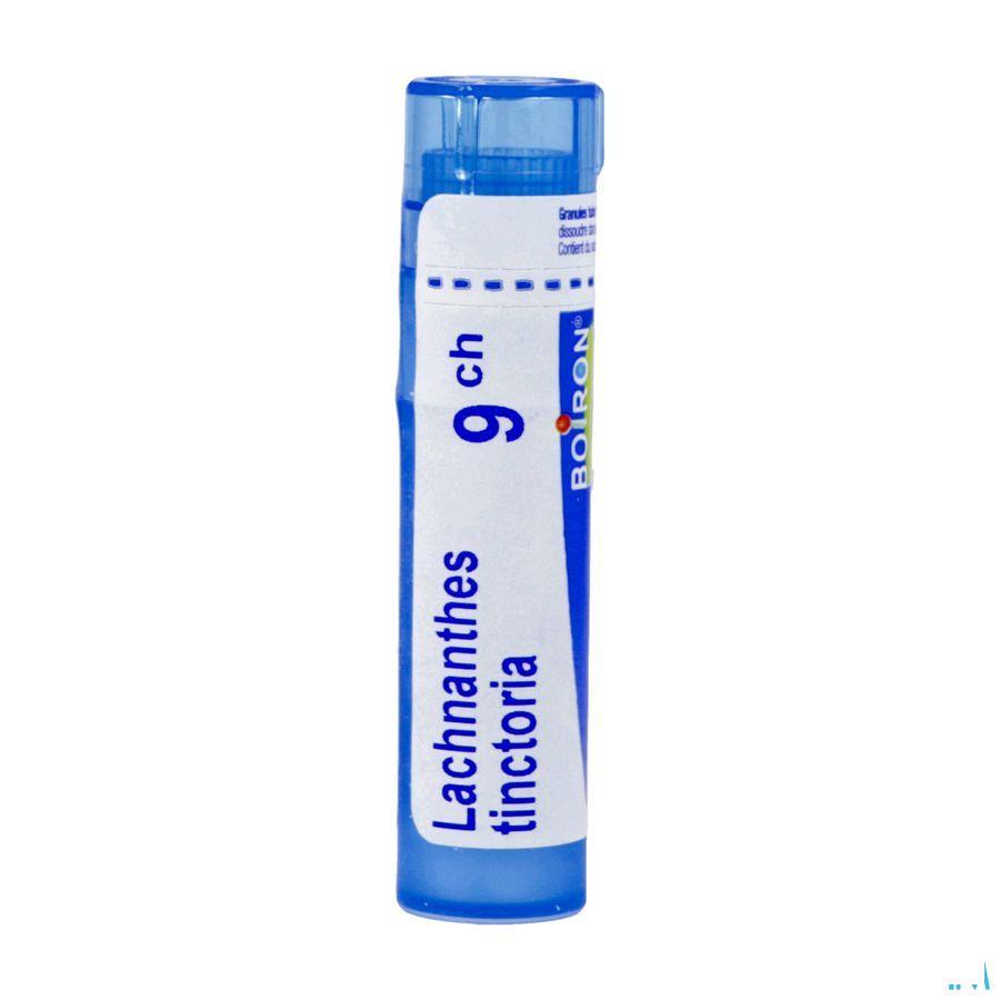 Lachnanthes Tinctoria 9CH Gr 4g  -  Boiron