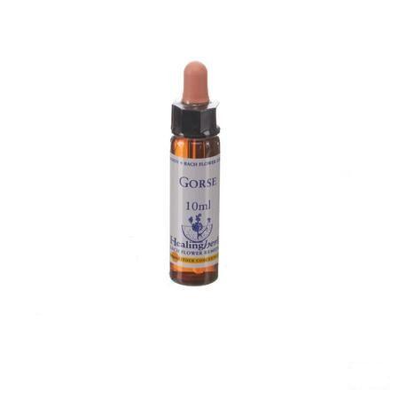 Healing Herbs Gorse 10 ml