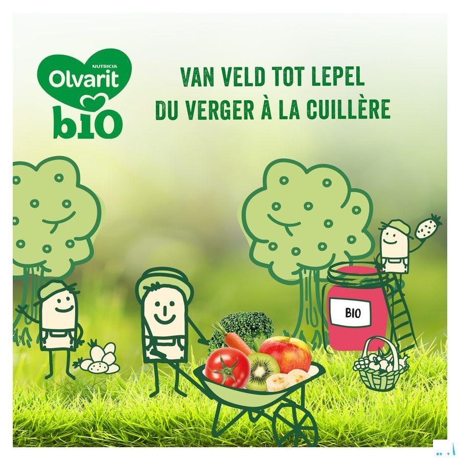 Olvarit Bio Pomme Nectarine Banane 4M 2X125G  -  Nutricia