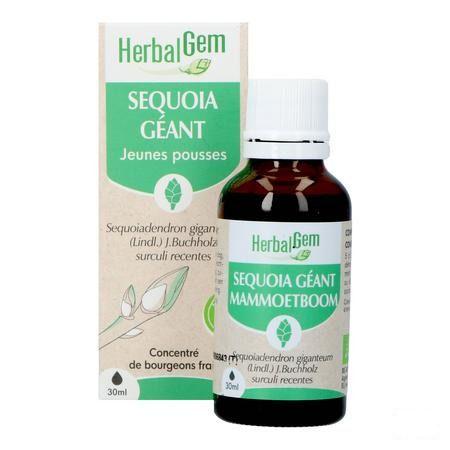 Herbalgem Mammoetboom Bio 30 ml