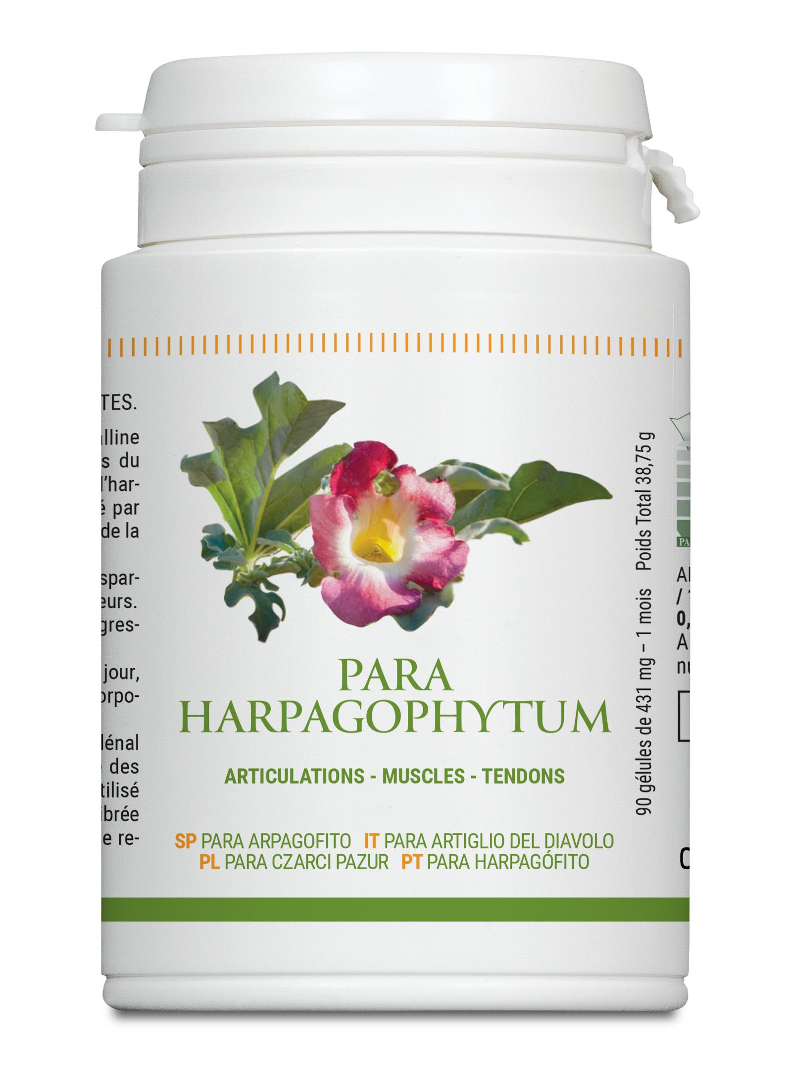 Para Harpagophytum Procumbens Gel 90