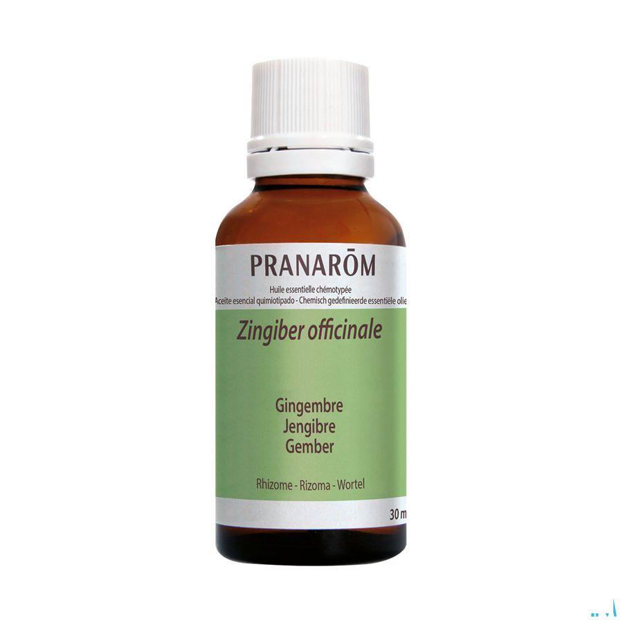 Gember Essentiele Olie 30 ml  -  Pranarom