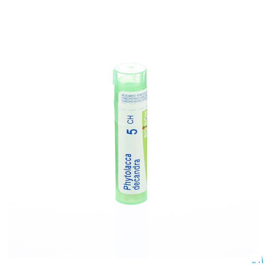Phytolacca Decandra 5CH Gr 4g  -  Boiron