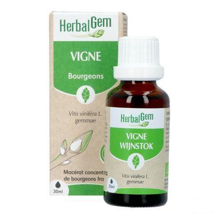 Herbalgem Vigne Bio 30 ml