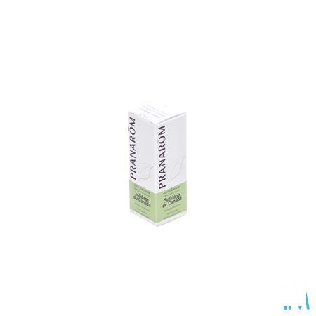 Solidage Du Canada Huile Essentielle 5 ml  -  Pranarom