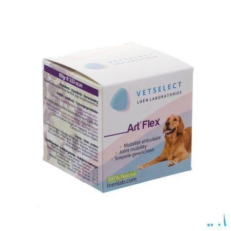 Vetselect Art-flex 100 gr  -  Loen Laboratories Europe