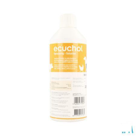 Ecuchol Solution Oral 500 ml  -  Ecuphar