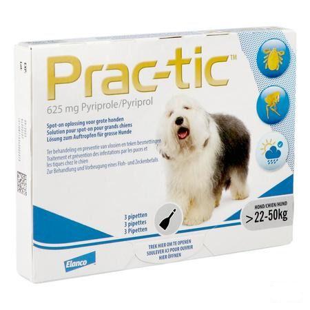 Prac-tic Spot-on Anti puce-tiq. Grand Chien .1x3