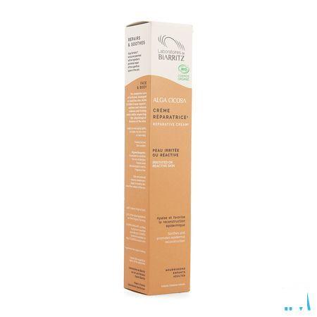 Alga Cicosa Creme Reparatrice 40 ml