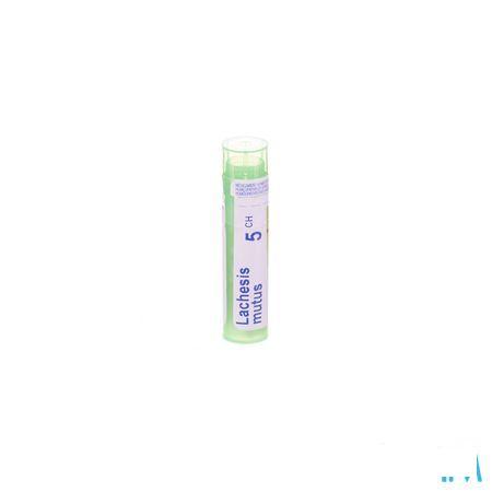 Lachesis Mutus 5CH Gr 4g  -  Boiron