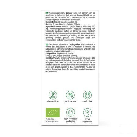 Purasana Vegan Gember V-Caps 60