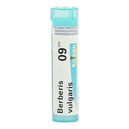 Berberis Vulgaris 9CH Gr 4g  -  Boiron