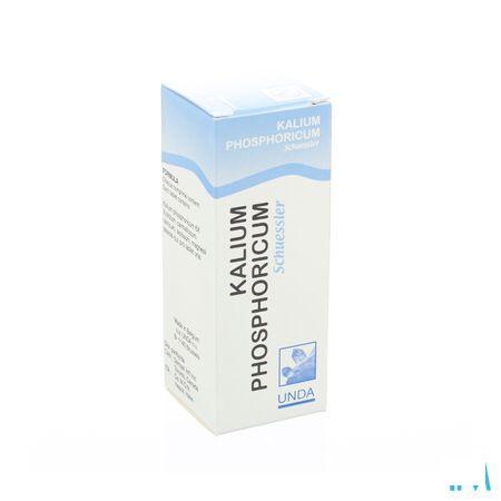 Schuessler N Vi Ka Phosphoric.100  -  Boiron