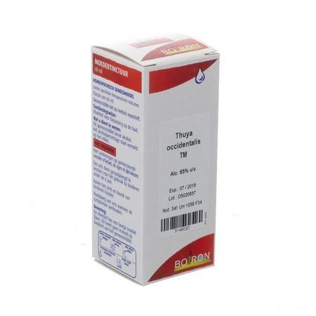Thuya Occidentalis Tm 60 ml  -  Boiron