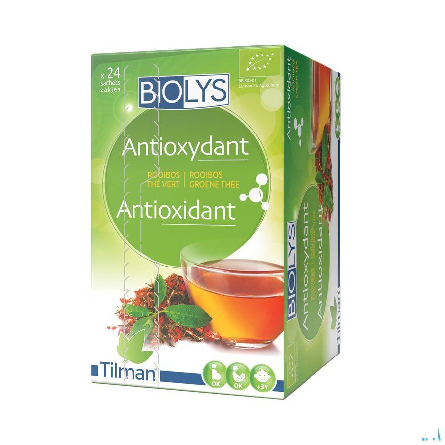 Biolys Rooibos The Vert Sachets 24  -  Tilman