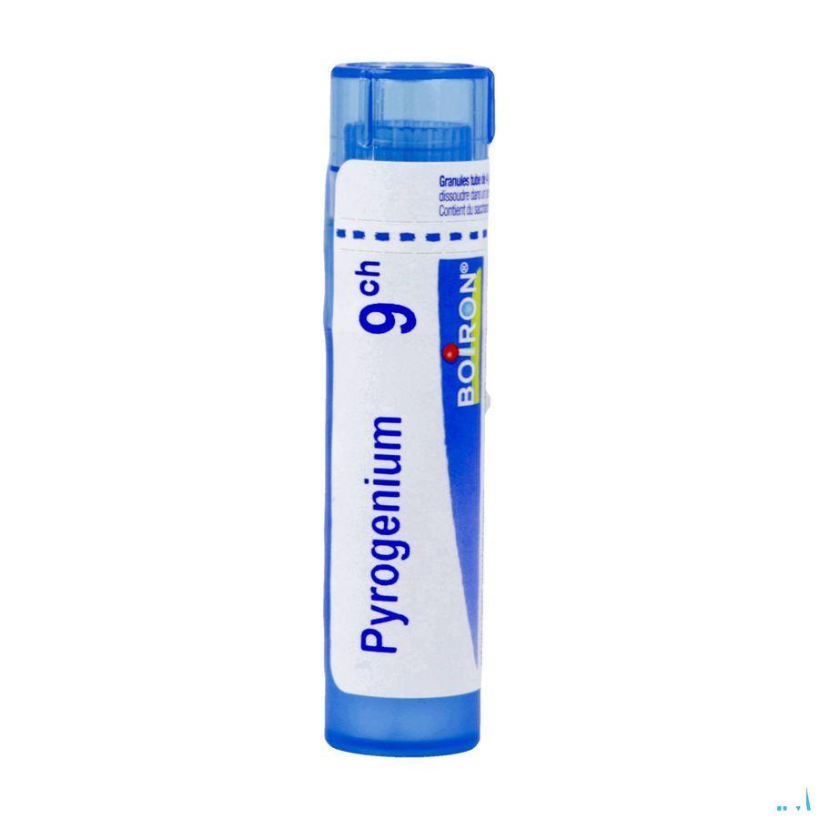 Pyrogenium 9CH Gr 4g  -  Boiron