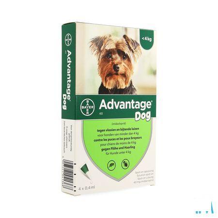 Advantage 40 Chiens 