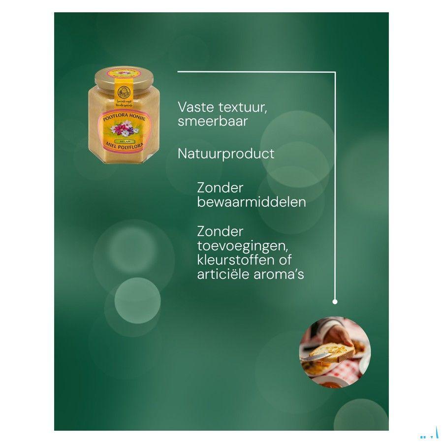 Melapi Miel Polyflora Tendre 500 gr 5531  -  Revogan