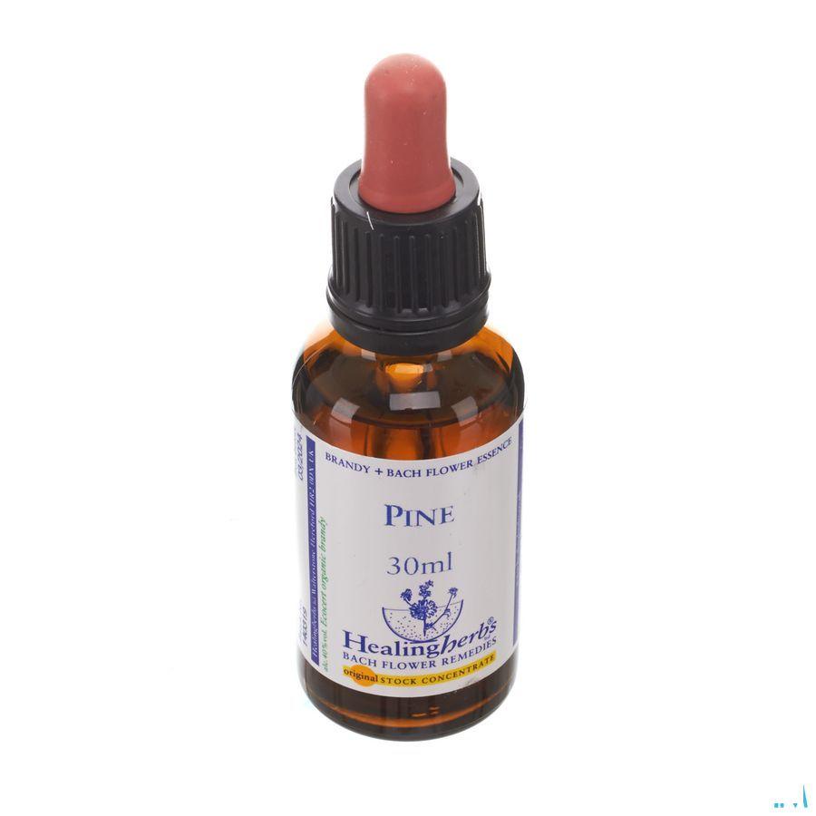 Healing Herbs Pine 30 ml