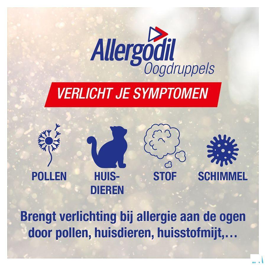 Allergodil Collyre Flacon 6 ml