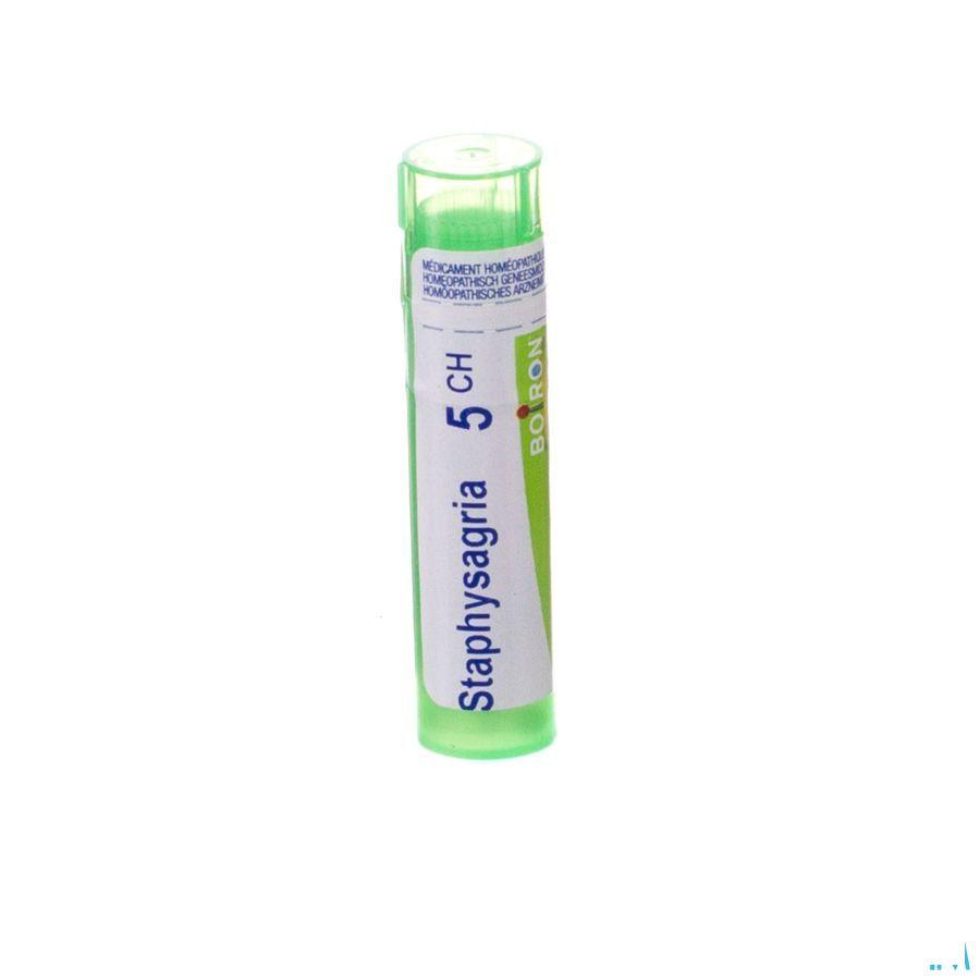 Staphysagria 5CH Gr 4g  -  Boiron