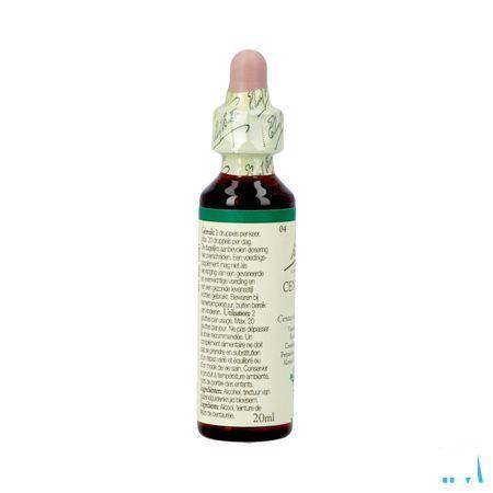 Bach Flower Remedie 04 Centaury 20 ml