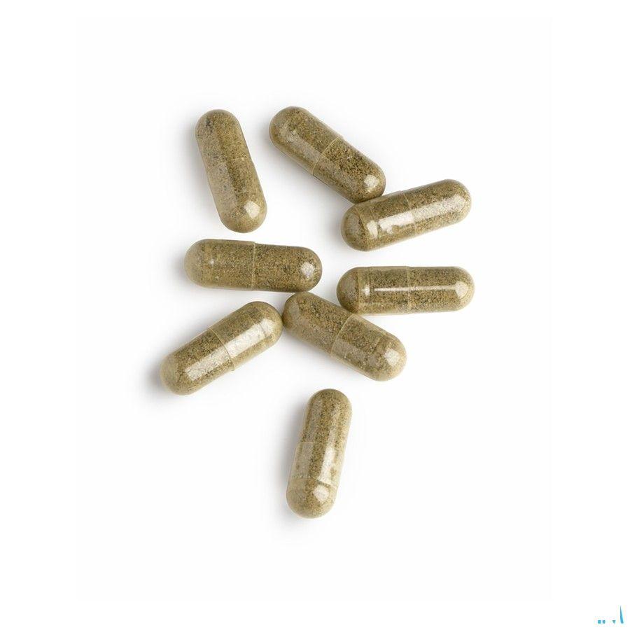 Receptor Support Caps 60  -  Energetica Natura Benelux