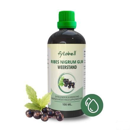 Fytobell Ribes Nigrum Glm 100 ml