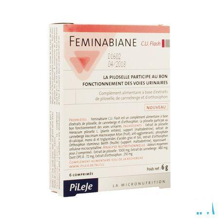 Feminabiane Flash Capsule 6  -  Pileje