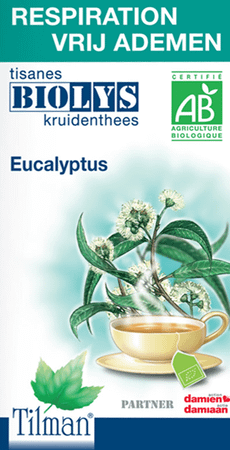 Biolys Eucalyptus Bio Tea-bags 20  -  Tilman