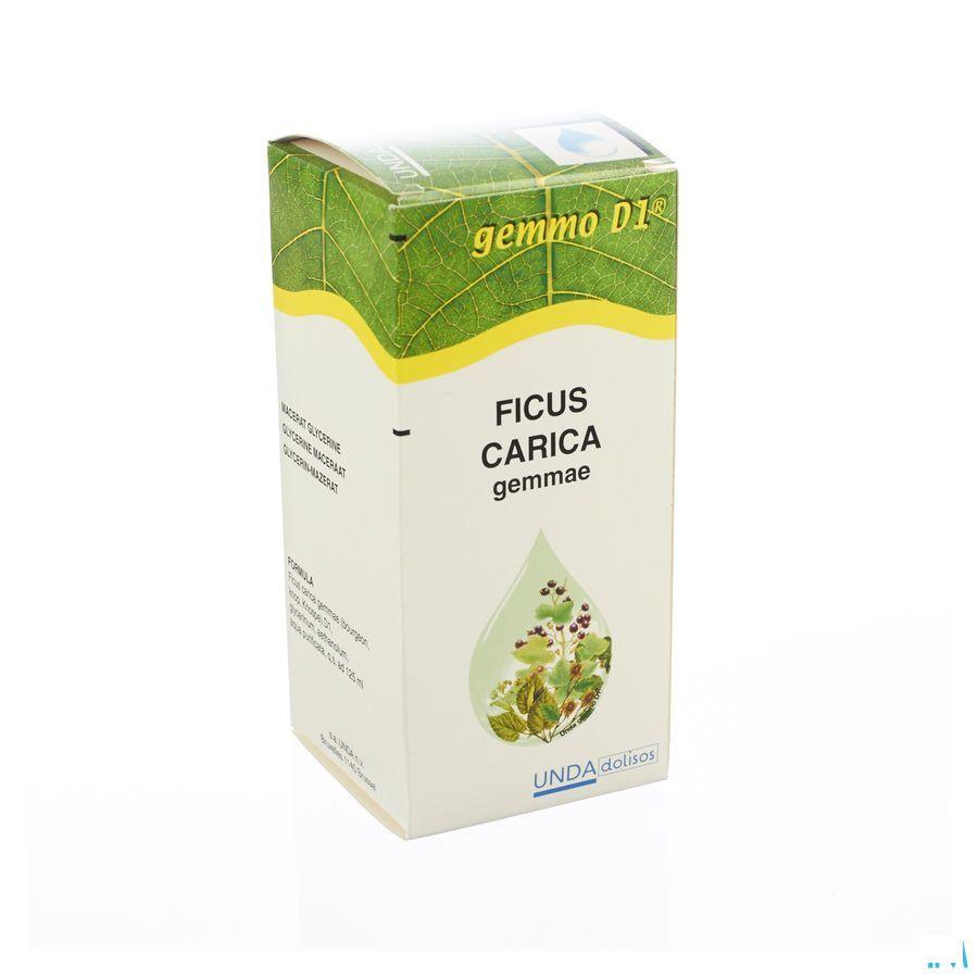 Ficus Carica Gemmo D1 125 ml  -  Boiron
