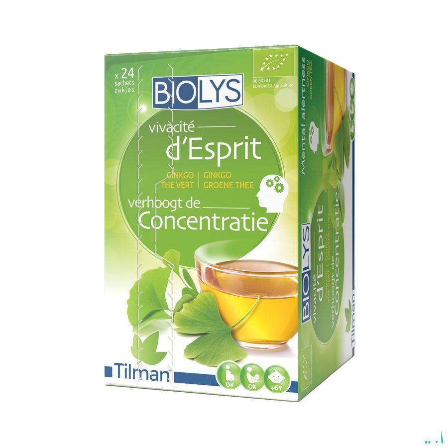 Biolys Ginkgo Groene Thee Zakjes 24  -  Tilman