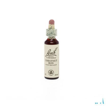 Eumadis Fleur Bach 07 Chestnut Bud Gran.6,3g  -  Distribio