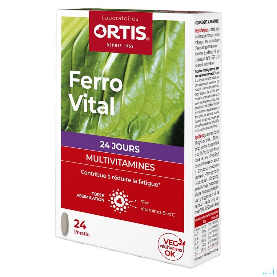 Ortis Ferro Tabletten 24  -  Ortis