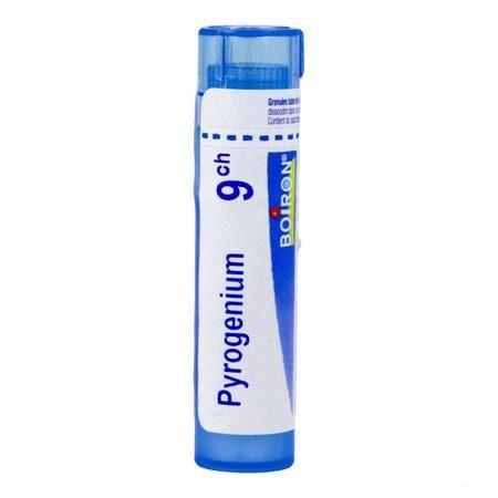 Pyrogenium 9CH Gr 4g  -  Boiron
