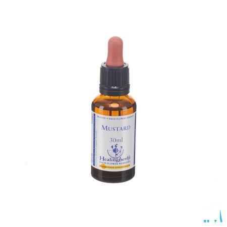 Healing Herbs Mustard 30 ml