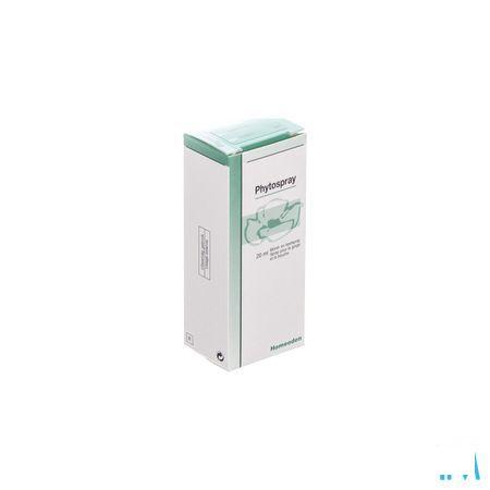 Phytospray Gutt 20 ml  -  Heel