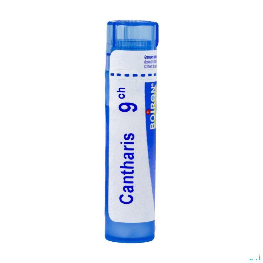 Cantharis 9CH Gr 4g  -  Boiron