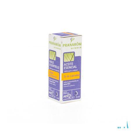 Ledon Groenland Huile Essentielle 5 ml  -  Pranarom