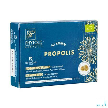 Phytolis Propolis Bio Past 30 Revogan  -  Revogan